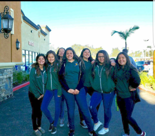 Screenshot_20170302-203903